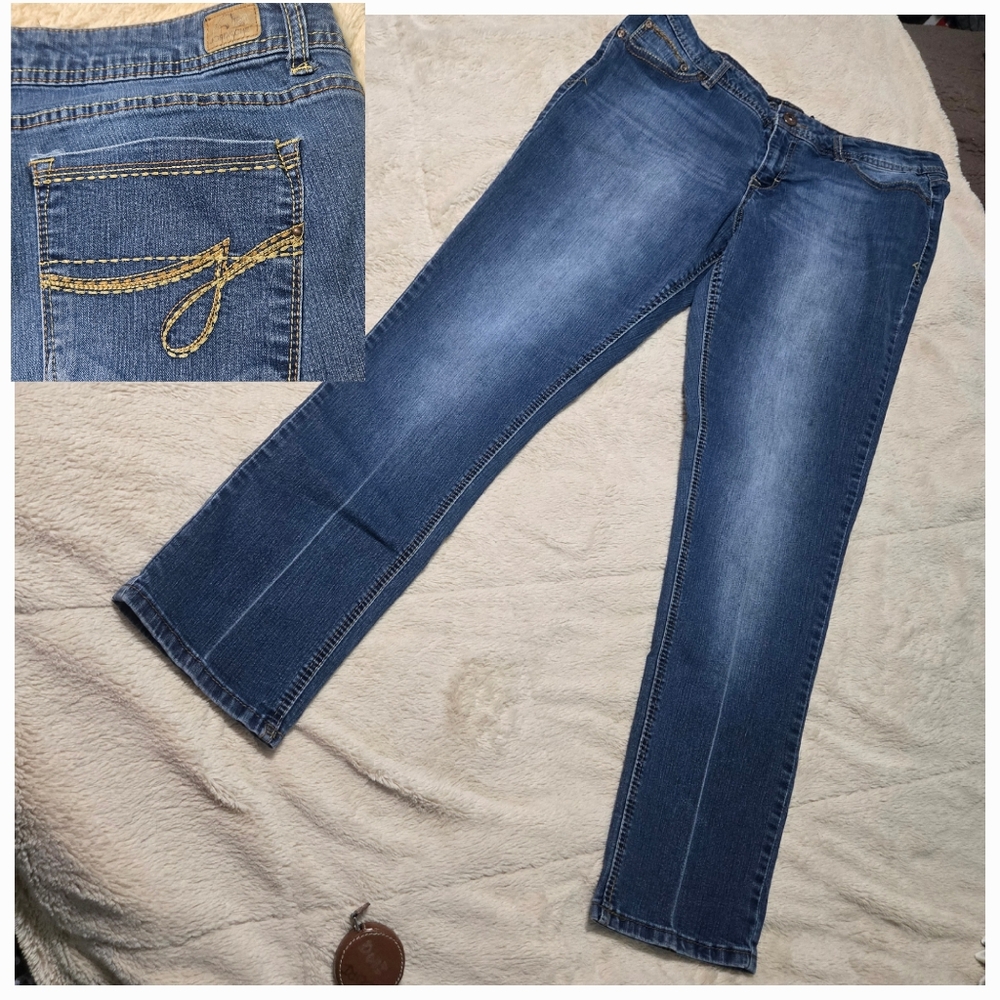 Jordache Denim Blue Jeans Skinny Jeans, Size 16